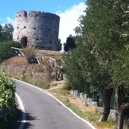 Sotto Il Vecchio Mulino *